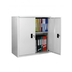 Tủ hồ sơ sắt thấp cánh mở NT190 TS11