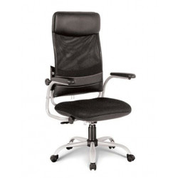 Ghế xoay lưới cao cấp lưng ngả 180 độ, tựa cao có đệm gối đầu NT190 GX207B