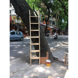 Thang gỗ gác xép THG01