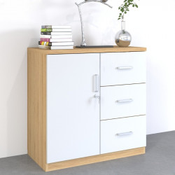 Tủ gỗ thấp có ngăn kéo đựng đồ dùng, quần áo, tài liệu TNK01