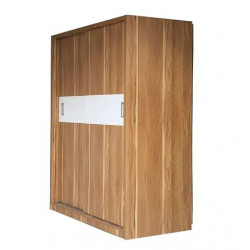 Mẫu tủ gỗ đựng quần áo 2 khoang 2 cánh cửa lùa TQA55