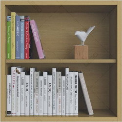 Kệ sách gỗ 2 ngăn 60cmx60cm treo tường  KTT35