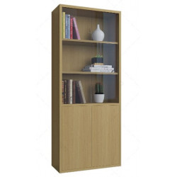 Tủ kệ sách tài liệu văn phòng gỗ cánh kính KSG140