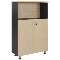 Tủ gỗ đựng đồ Hòa Phát giá rẻ LE1260SD