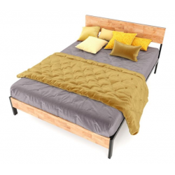 Giường rộng 1m6 cho 2 ngường nằm khung sắt kết hợp gỗ GSD57