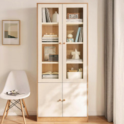 Mẫu tủ sách đứng để tài liệu văn phòng cánh kính đẹp KGĐ18