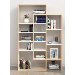 Kệ giá đứng để sách gỗ công nghiệp nhiều ngăn cho học sinh KGĐ81