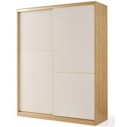 Tủ quần áo cửa lùa 2 cánh 1m6/1m8 hiện đại giá rẻ TAO13