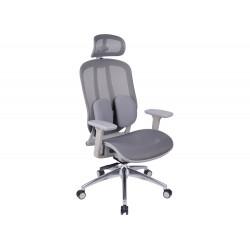 Ghế xoay công thái học The One GLE04-1
