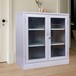 Tủ sắt thấp TU06CKSL cánh kính văn phòng hàn liền nguyên chiếc giá rẻ