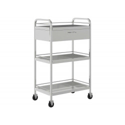 Xe đẩy y tế inox The One XE3T01I