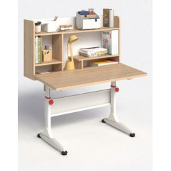 Bàn học sinh có giá sách điều chỉnh độ cao và độ nghiêng NT190 BHS01D